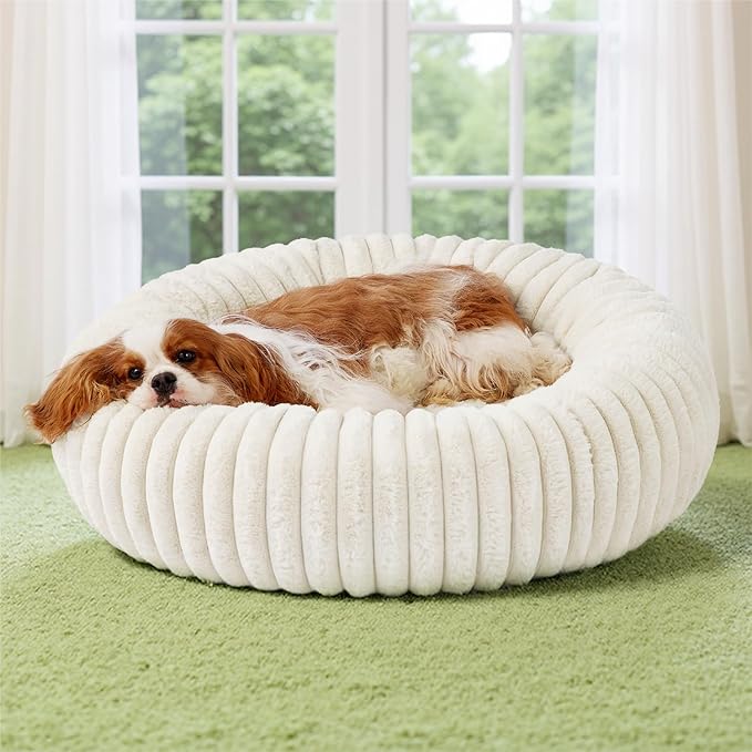 product-679-679